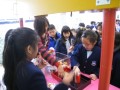 Thumbs/tn_IMG_1879.jpg